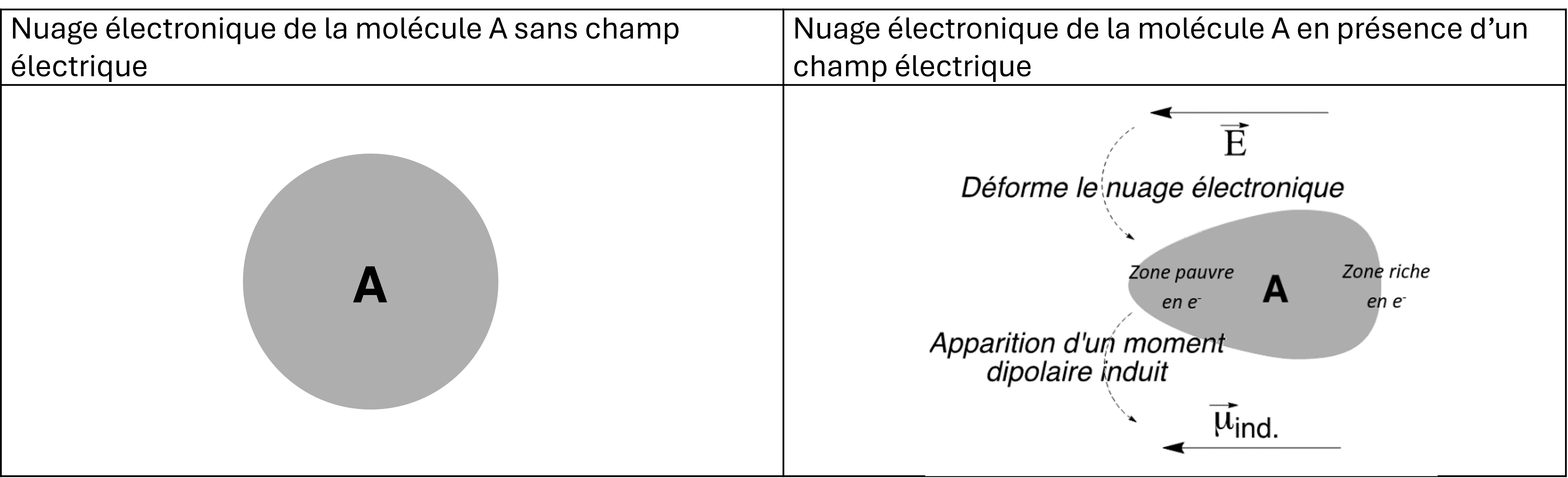 dipole_induit