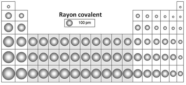 tableau_periodique_raton